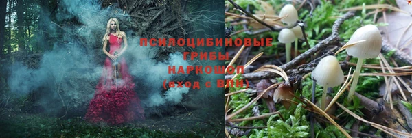 каннабис Алзамай